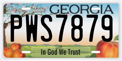 GA license plate PWS7879