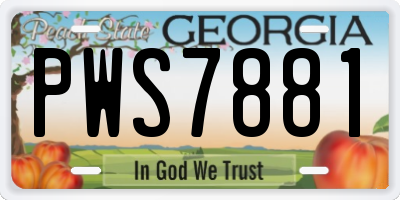 GA license plate PWS7881