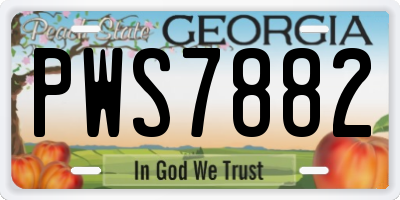 GA license plate PWS7882
