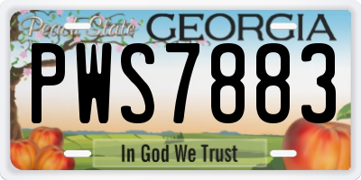 GA license plate PWS7883