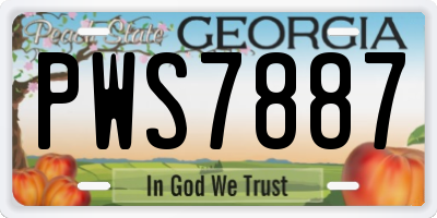 GA license plate PWS7887