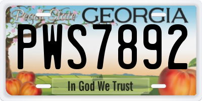 GA license plate PWS7892