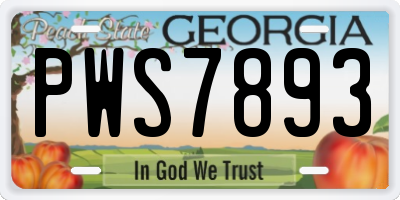 GA license plate PWS7893