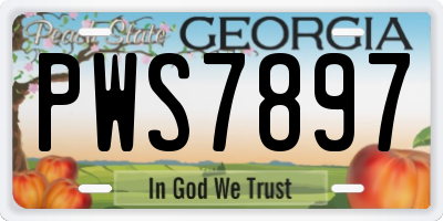GA license plate PWS7897