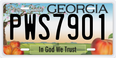 GA license plate PWS7901