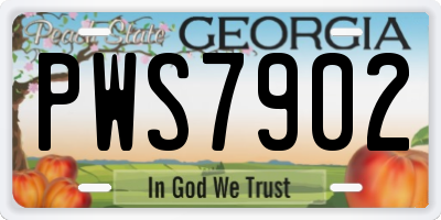 GA license plate PWS7902