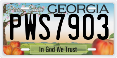 GA license plate PWS7903