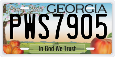 GA license plate PWS7905