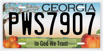 GA license plate PWS7907