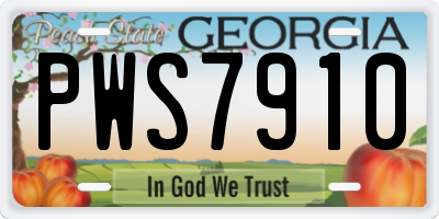 GA license plate PWS7910