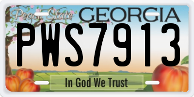 GA license plate PWS7913