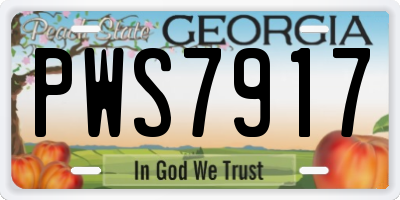 GA license plate PWS7917