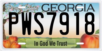 GA license plate PWS7918