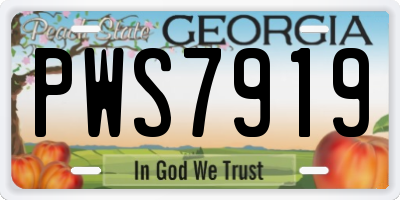 GA license plate PWS7919