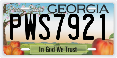 GA license plate PWS7921