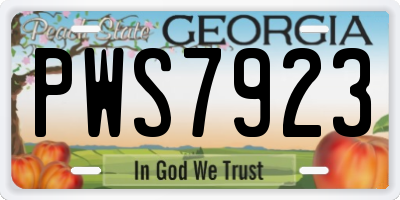 GA license plate PWS7923