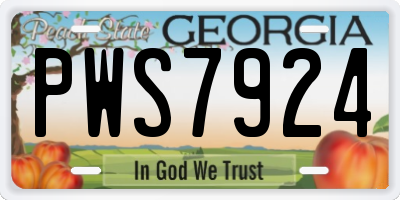 GA license plate PWS7924