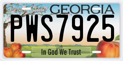 GA license plate PWS7925