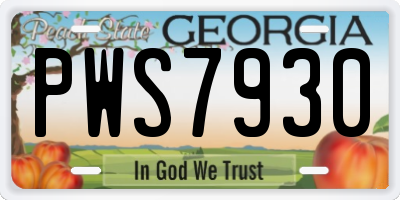 GA license plate PWS7930