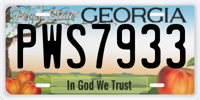 GA license plate PWS7933