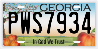 GA license plate PWS7934
