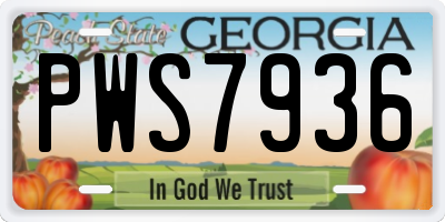 GA license plate PWS7936