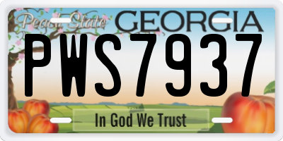 GA license plate PWS7937