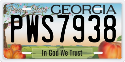 GA license plate PWS7938