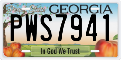 GA license plate PWS7941