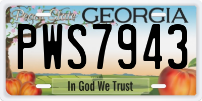GA license plate PWS7943