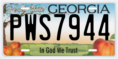 GA license plate PWS7944