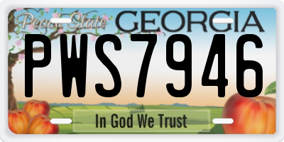 GA license plate PWS7946