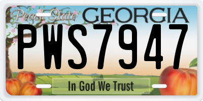 GA license plate PWS7947