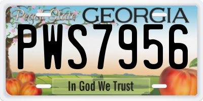 GA license plate PWS7956