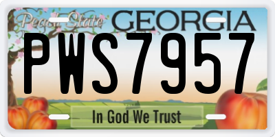 GA license plate PWS7957