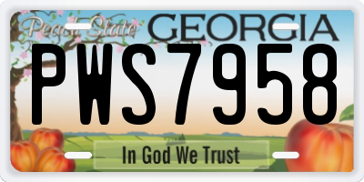 GA license plate PWS7958