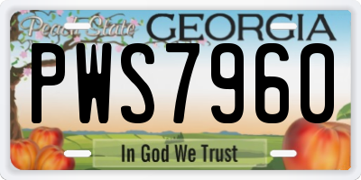 GA license plate PWS7960