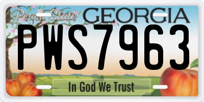 GA license plate PWS7963