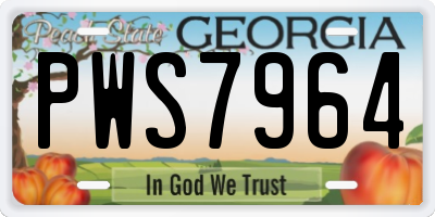 GA license plate PWS7964