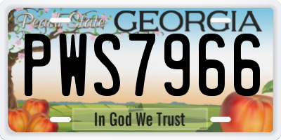 GA license plate PWS7966