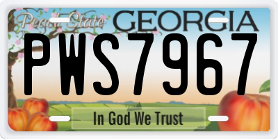 GA license plate PWS7967