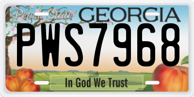 GA license plate PWS7968