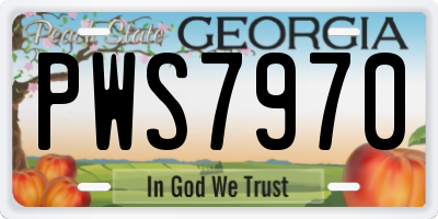 GA license plate PWS7970