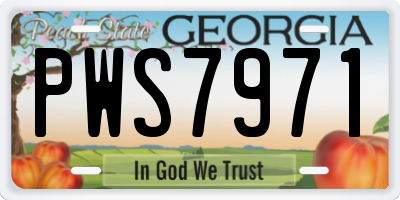GA license plate PWS7971
