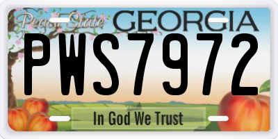 GA license plate PWS7972