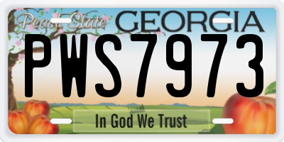 GA license plate PWS7973