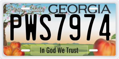 GA license plate PWS7974