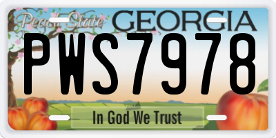 GA license plate PWS7978