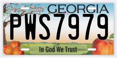 GA license plate PWS7979