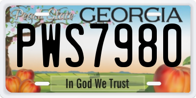 GA license plate PWS7980